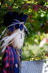 scarecrow in the garden 
