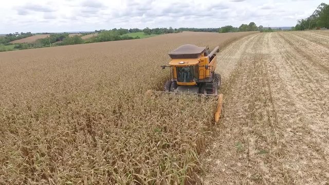  Tractor at harvest seen from above
