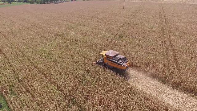 Tractor harvesting high top big farm side