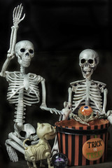 Halloween Skeletons getting ready to go trick or treating