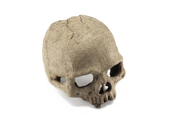 Halloween skull isolated on white background