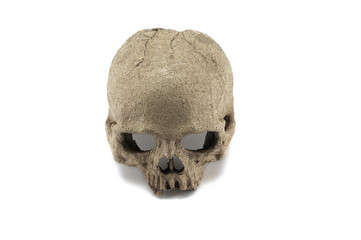 Obraz premium Halloween skull isolated on white background