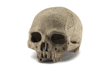 Halloween skull isolated on white background