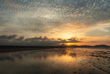 amazing sunset with a pearly sky in gold tones reflected in the low tide strip of the ocean