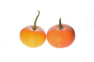 Pumpkin isolated on a white background