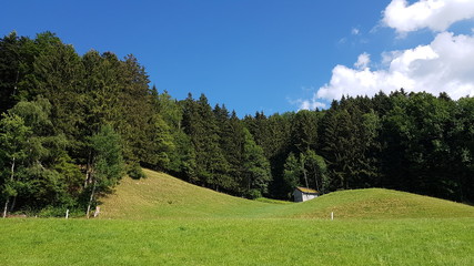 Einsame Holzhütte am Waldrand in der Schweiz