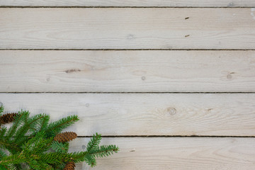 Holiday border with greenery in the bottom left corner with copy space