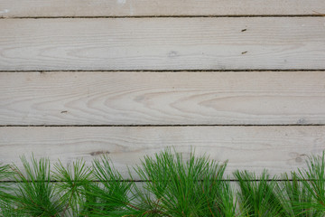 A textured background of whitewasshed rough hewn lumber and greenery with copy space