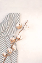 Fototapeta na wymiar Minimal autumn decor concept - Dried cotton branch on Crumpled Striped Napkin, white background.