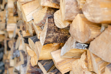 pine wood pile
