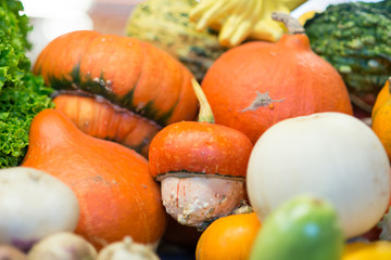 A lot of decorative and edible pumpkins on market in autumn before Halloween