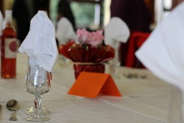 Elegancia