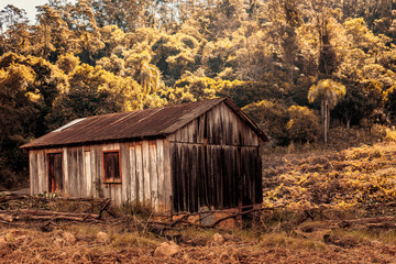 Rural view of an abandoned shed