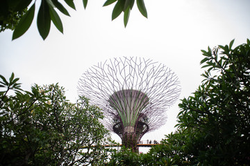 Marina Bay Waterfront in Singapore, featuring Marina Bay Sands, lotus-shaped ArtScience Museum and Helix Bridge