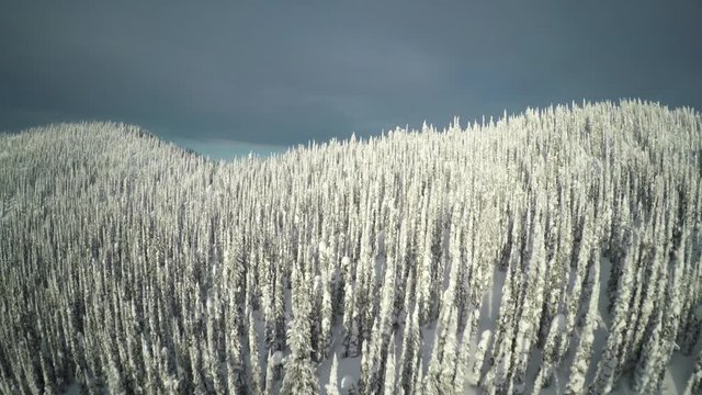 Wide aerial, remote mountain forest in winter
