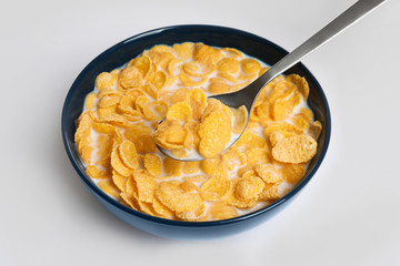 Eating cornflakes with milk on white background