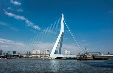 Fototapeten Rotterdam mit Erasmus Brug © Christian Schmidt 