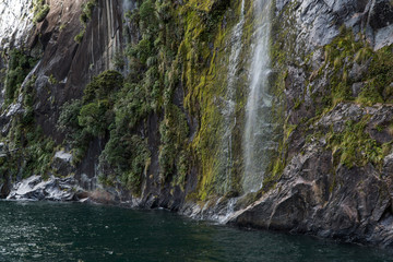 Waterfall flowing down the side of a cliff with plants and moss growing on rock wall