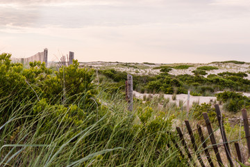 East coast Atlantic Ocean coastal landscape