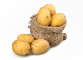 Yukon gold potatoes in burlap bag