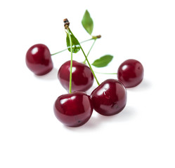 Cherry berries with a twig
