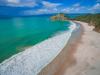 The wilderness of Whangapoua