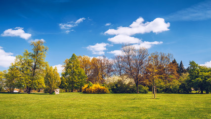 Park in the spring with green lawn, sun light. Stone pathway in a green park
