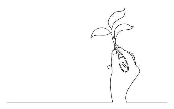 continuous line drawing of hand holding growing plant
