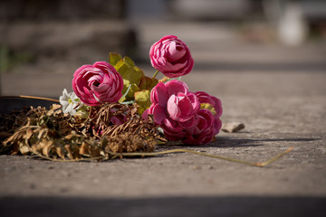 bouquet of roses on wooden background