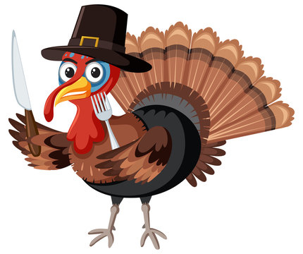 Thanksgiving turkey character on white background