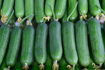 Pick the cucumber