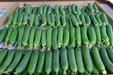 Pick the cucumber
