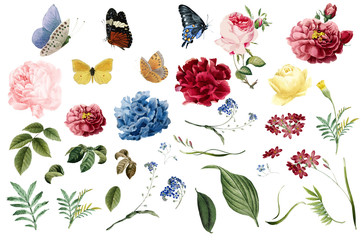 Naklejka premium Różne romantyczne ilustracje kwiatów i liści