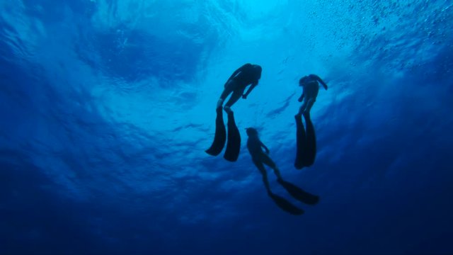 Slow motion, three divers in ocean