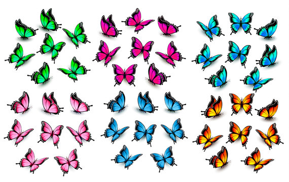 Fototapeta Colorful butterflies set. Vector.