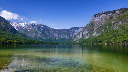 Obraz na płótnie Canvas Lake Bohinj in Slovenia, beauty in nature. Colorful summer on the Bohinj lake in Triglav national park Slovenia, Alps, Europe. Mountain Lake bohinj in Julian Alps, Slovenia
