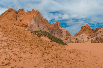 Morro Branco - Ceará