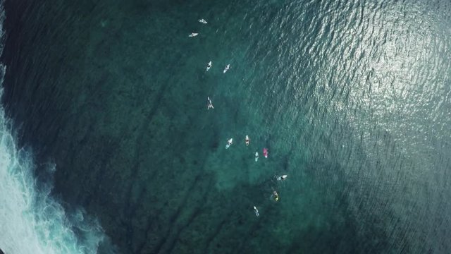Overhead aerial, surfers in tropical ocean
