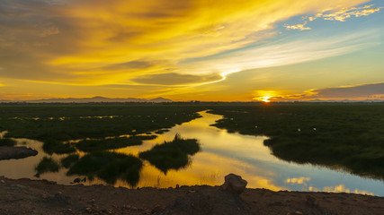 Obraz premium Meadows and swamps in sunset