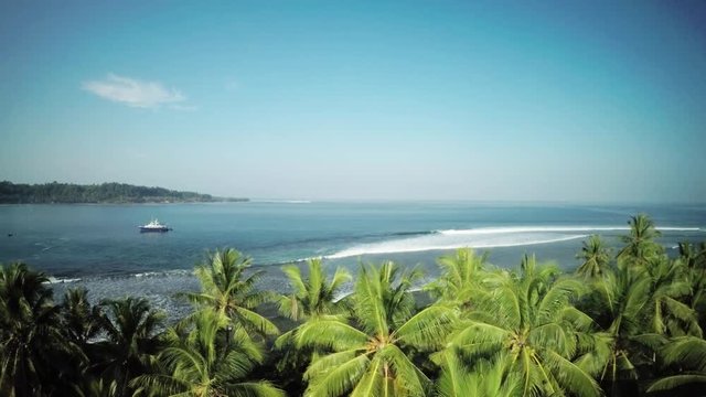 Aerial, lush island shoreline