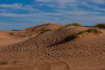 Pink Dunes of Utah