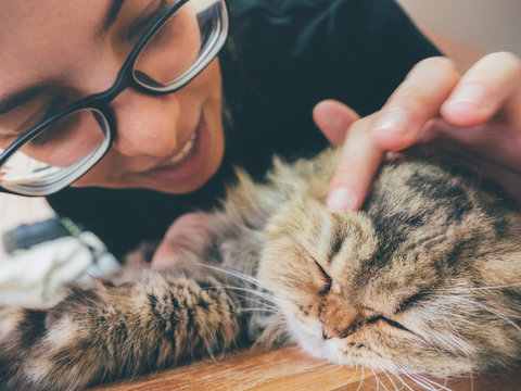 woman petting a cat head. teenage girl wearing glasses are touching her persian cat softly while sleeping. love to animals concept, vintage photo and film style.