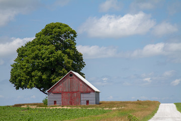 Fototapeta na wymiar Red Barn and tree