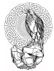Raven. Vector illustration isolated on white background. Detailed drawing of a bird.The Celtic ornament