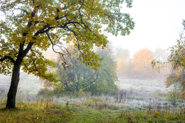 Obraz na płótnie Canvas Fog on nature in the cold morning, autumn in November