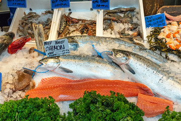 Salmon fillet and other fish and seafood for sale at a market in London