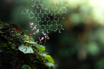 Plants background with biochemistry structure.