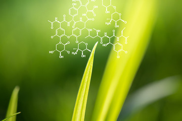 Plants background with biochemistry structure.