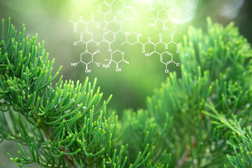 Plants background with biochemistry structure.