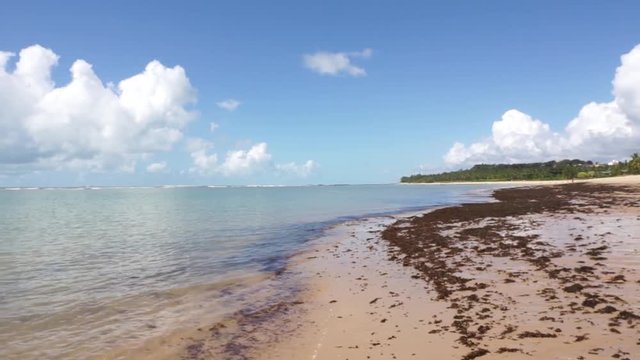 Tropical beach sunny day in Arraial D'Ajuda Bahia Brazil: Low tide pan RL
